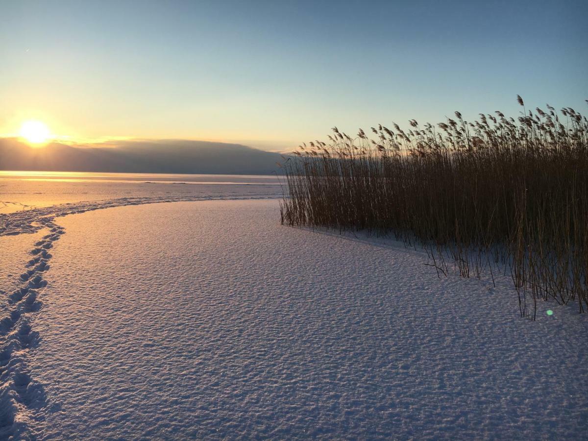 Bootshaus Am See Нойзидл ам Зее Екстериор снимка